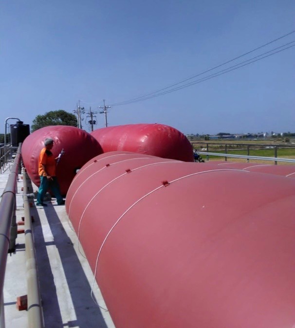 Biogas Bag